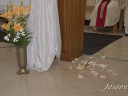 prva_pricest-2025_25